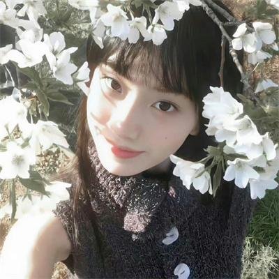 动画综艺